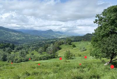 Buzau Teren de vanzare La Bisoca aproape de strada - 1