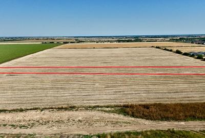 Teren Construcții intravilan de 13629 mp, în Tunari