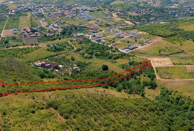 RECO Teren Saldobagiu de munte - 4