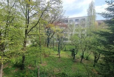 Apartament 4 camere Brancoveanu - Piata Progresu - 19