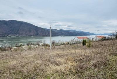 AV644 Teren intravilan, BERZASCA-DUNARE, 6042mp, posibilitate investitie turism - 8