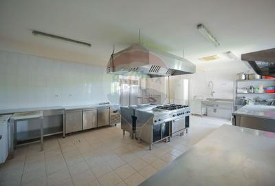 De vânzare pensiune cu restaurant, teren 4.750 mp – Băile 1 Mai - 35