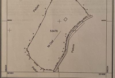 Teren intravilan 1.28ha Remeti–perfect pensiune/cabane, zonă turistica - 9
