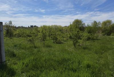 Teren intravilan 664 mp – Peris, Ilfov | Locatie linistita, ideal pentru casa - 9