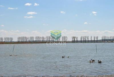 Oportunitate investitionala | Ferma piscicola 233 ha | Calarasi - 7