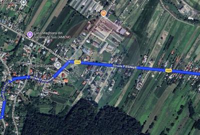 De vanzare teren intravilan 8,000 mp Garlenii de Sus / Bacau - 4