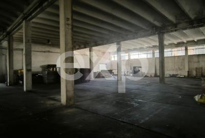 GIURGIU | Hala 5.000 mp | Acces TIR | Parcare TIR | Inaltime 7m - 6