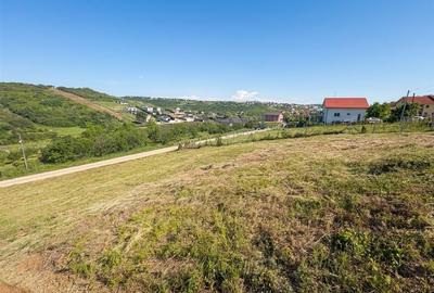 RECO Teren 1000 mp cu dublu front stradal in Saldabagiu de Munte - 3