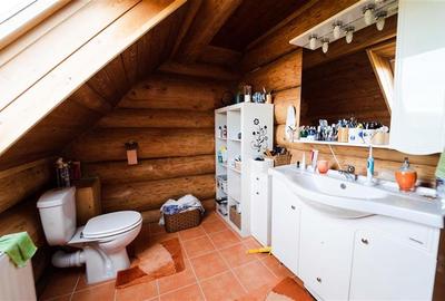 Casa din busteni cu ferma zootehnica si afacere (Tengheler, Com. Ditrau) - 15