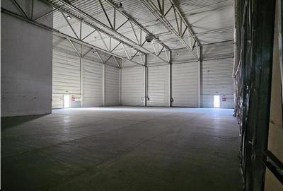 Spatiu Industrial - 4000 mp - Logistica - Depozitare - Distributie - 3
