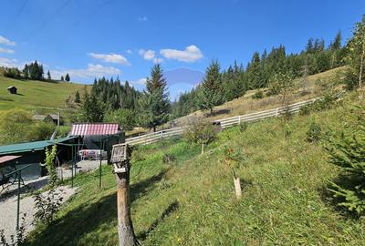 Casă / Vilă de vacanta in Dorna Arini, Suceava - 52