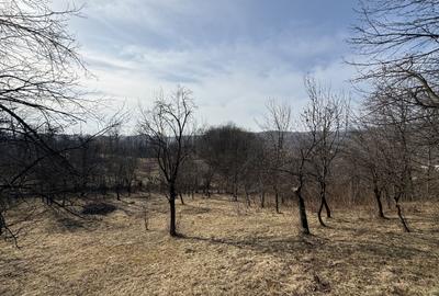 Teren intravilan 2788 mp deschidere 55 ml cu vedere panoramica ! - 13