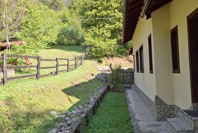 Pensiune agroturistică lângă București | Business funcțional | Iedera de Sus, DB - 20