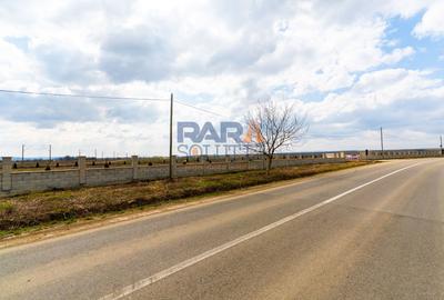 Teren 7.092 mp cu PUZ aprobat + Autorizatie / investiție autostrada A7 - 3