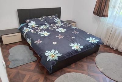 Apartament de inchiriat 2 camere Constantin Brancusi - 1