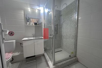 Spatiu comercial de inchiriat in zona Rahova - 11