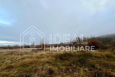 Teren extravilan 6.500 mp – Cârțișoara | Comision 0% - 4