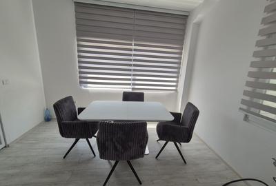Hale de Vanzare de 600 mp în Chitila-Rudeni - 12