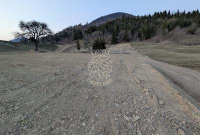 Teren 2.950 mp+ Proiect Resort ALPINA 6 COLIBITA- vedere lac Colibita - 13