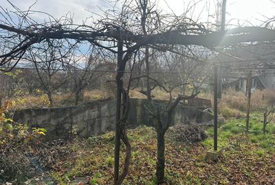Teren Intravilan 2.800 mp| zona Schit - 3