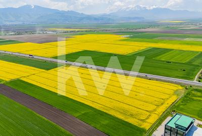 Teren 10.600 mp în Codlea – ideal pentru investiție industrială - 12