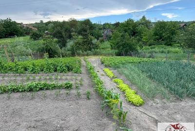 Vanzare casa in Henig -1100 mp teren - 8