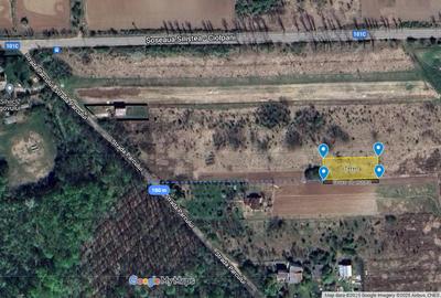 Teren intravilan 1000 m² Snagov – aproape de pădure - 1
