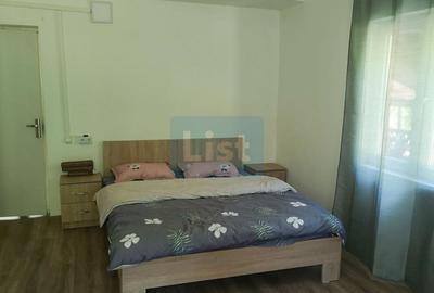 Casa de vacanta perfecta pe malul Cernei - 12