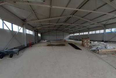 Hale cu suprafete intre 100-300mp in zona Drumul Intre Tarlale - 5