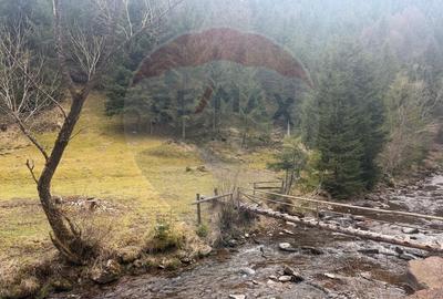 Arieșeni–Strada Fața Cristesei -Teren 4.331 mp cu Peisaj de Poveste - 17