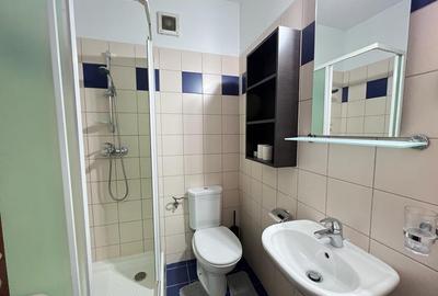 Central Park Apartments/ Parcul Circului / Metrou / Parcare Subterana - 12
