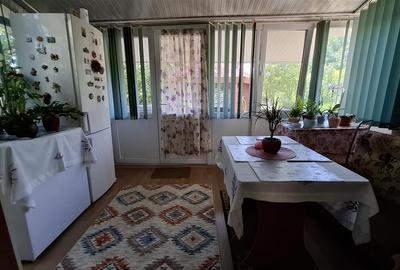 Casa 4 camere Lunca Cetatuii Visoianu,Mobilata Utilata,0% Comision - 10