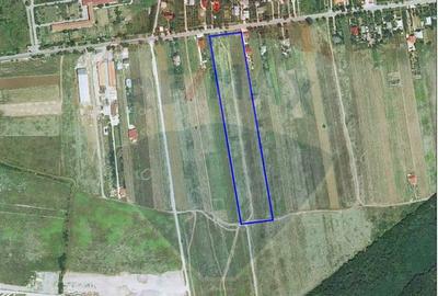 Teren Snagov | 500m de DN1 | Oportunitate investitie - 2