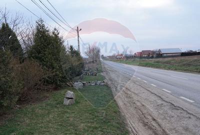 Teren de vanzare 517mp, sat Zapodia, com. Traian, jud Bacau - 1