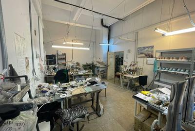 Spatiu productie si birouri - zona Iancului - 6