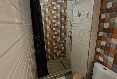 Apartament 2 camere decomandat str. Niagara, Chitila, Sector 1 - 10