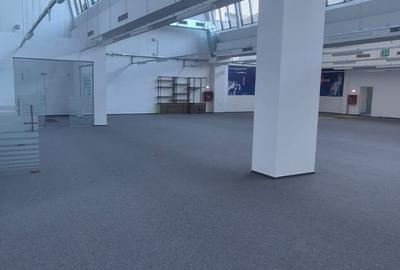 Spatiu de birouri / comercial / show room Domenii - Parcul Copilului - 13