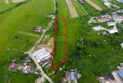Teren industrial intravilan 9.810 mp – Bascov, acces A1, E81 - 4
