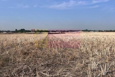 Teren Domnesti strada Ciocarliei. - 2
