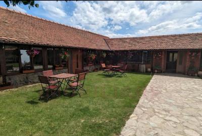 RESTAURANT DE VÂNZARE-COM. OBREJA\SAT IAZ\CARAȘ SEVERIN - 1