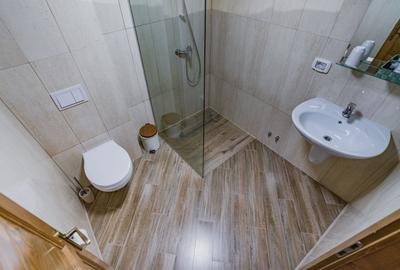 Business la cheie - Proprietate tip pensiune cu rating 9,8/10 Booking - 10
