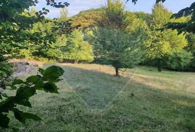 Poiană pentru cabana de vanzare intravilan Coas - 10