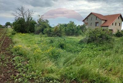 Teren 3,700mp Gulia/DN7 -20 km fata de Pta Victoriei -ideal investitie - 6