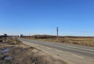 Teren extravilan - construcții, suprafață 49.933 mp, drumul E79, Beiuș - 10