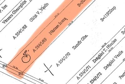 Teren agricol extravilan de 5000 mp, în Corbii Mari