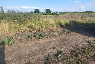 Societate comercială vinde teren agricol compact în com.  Ghimpați , Sat Stâlpu, - 1