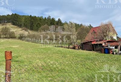 Teren in suprafata de 6300 mp extravilan in Garbau - 1