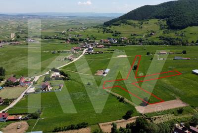 Teren cu peisaj spectaculos în Gura Râului – munte, aer curat, libertate - 3