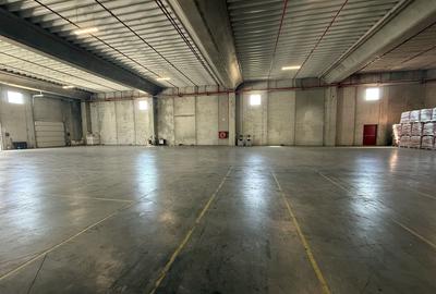 De vanzare parc logistic premium – randament imediat - Chitila - 12