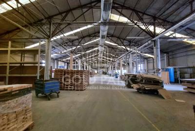 Spatiu Industial -Calea Baciului-Suprafata 400mp - 9